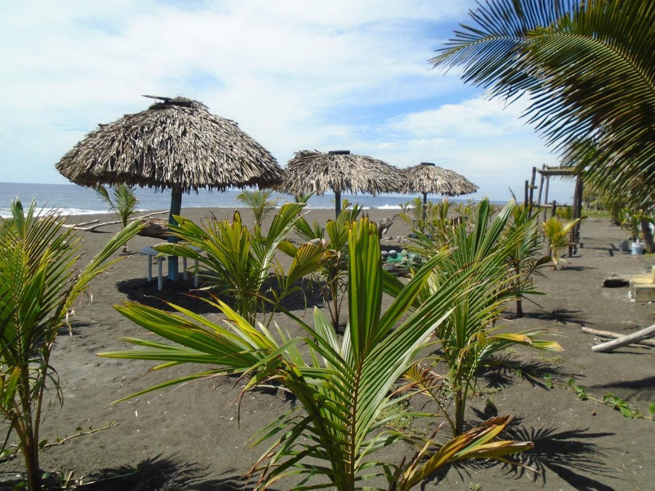 Marbella Eco Lodge Monterrico Exterior foto
